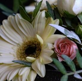 Композиция из гермини и кустовых роз с игрушкой в ящике 