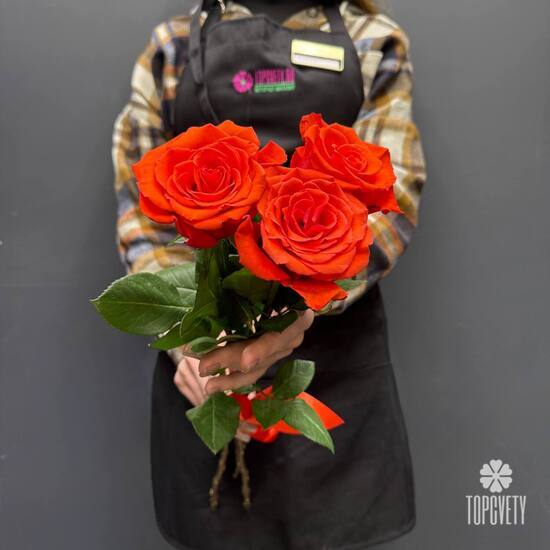 Букет из 3 красных роз Эквадор 50см