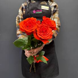 Букет из 3 красных роз Эквадор 50см