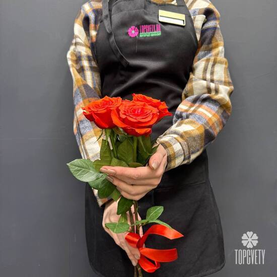 Букет из 3 красных роз Эквадор 50см