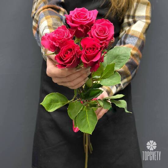 Букет из 5 розовых роз Эквадор 50см