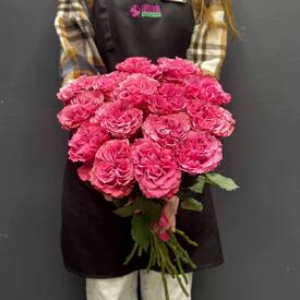 Букет из 15 розовых роз Эквадор 50см