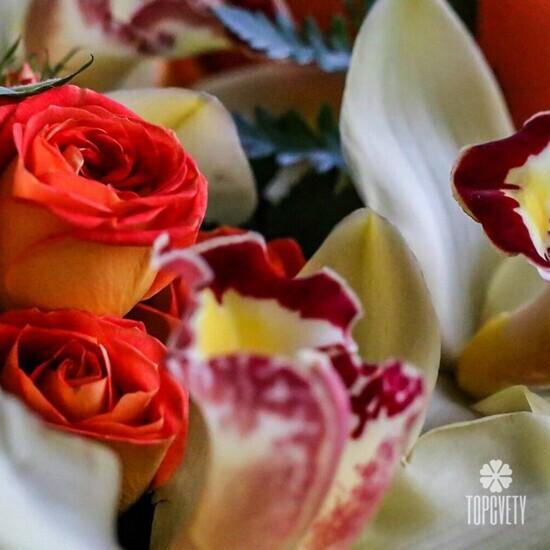 Композиция из роз и орхидей с мягкой игрушкой в ящике 