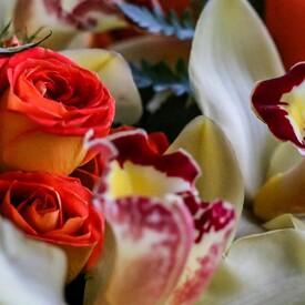 Композиция из роз и орхидей с мягкой игрушкой в ящике 