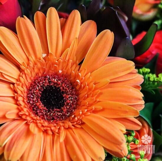 Композиция из кустовых роз и гербер в ящике 