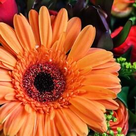 Композиция из кустовых роз и гербер в ящике 