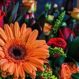 Композиция из кустовых роз и гербер в ящике 