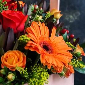 Композиция из кустовых роз и гербер в ящике 