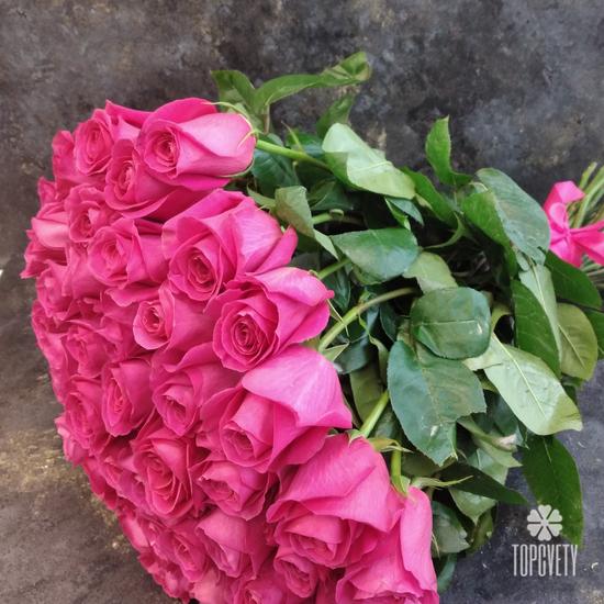 Букет из 55 розовых роз Пинк Флойд 