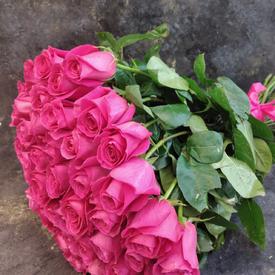 Букет из 55 розовых роз Пинк Флойд 