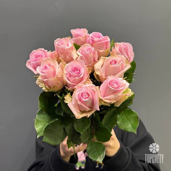 Букет из 11 роз Эквадор 50см