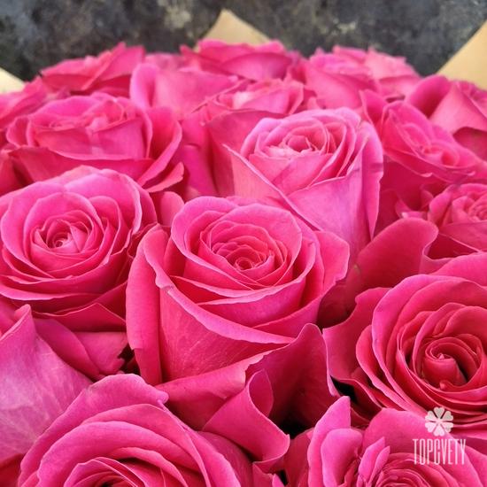 Букет из 51 розовой розы Пинк Флойд 70см и плюшевый мишка