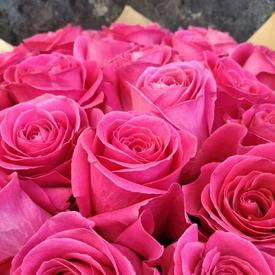 Букет из 51 розовой розы Пинк Флойд 70см и плюшевый мишка