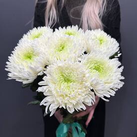 Букет из 7 хризантем Магнум