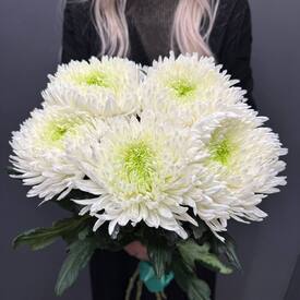 Букет из 5 хризантем Магнум