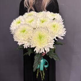 Букет из 9 хризантем Магнум 