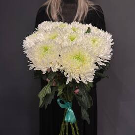 Букет из 11 хризантем Магнум