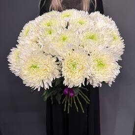 Букет из 17 хризантем Магнум