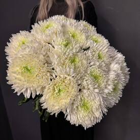 Букет из 11 хризантем Магнум