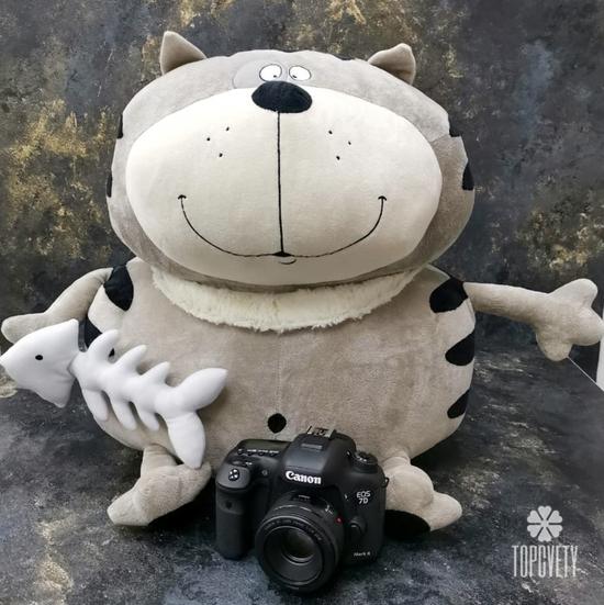 Игрушка Кот 30см