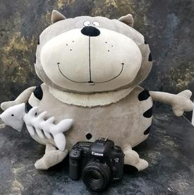 Игрушка Кот 30см