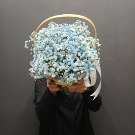 Композиция из 7 гипсофил в корзинке