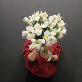 Букет из 15 ирисов 