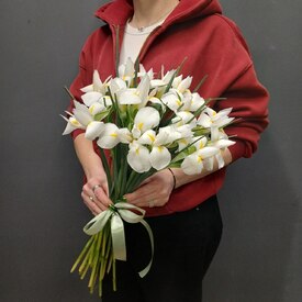 Букет из 15 ирисов 
