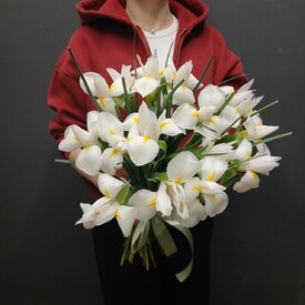 Букет из 15 ирисов 