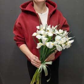 Букет из 15 ирисов 