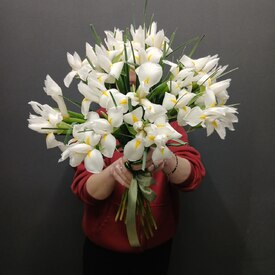 Букет из 25 ирисов