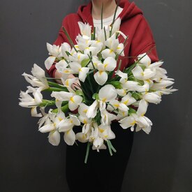 Букет из 25 ирисов