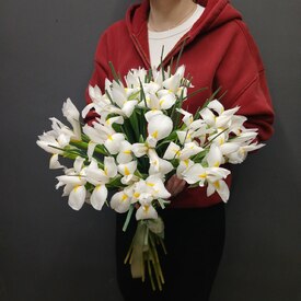 Букет из 25 ирисов