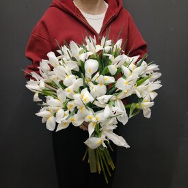 Букет из 35 ирисов	