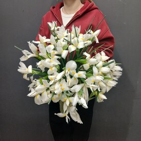 Букет из 35 ирисов	