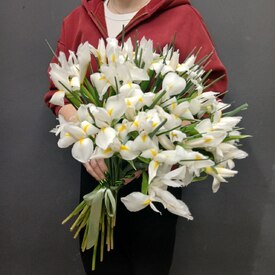 Букет из 35 ирисов	