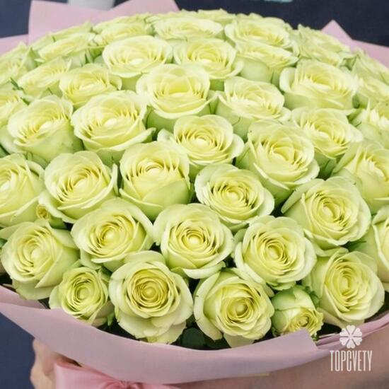 Букет из 101 белая роза Кения 40см