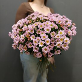 Букет из 21 кустовой хризантемы Сантинии