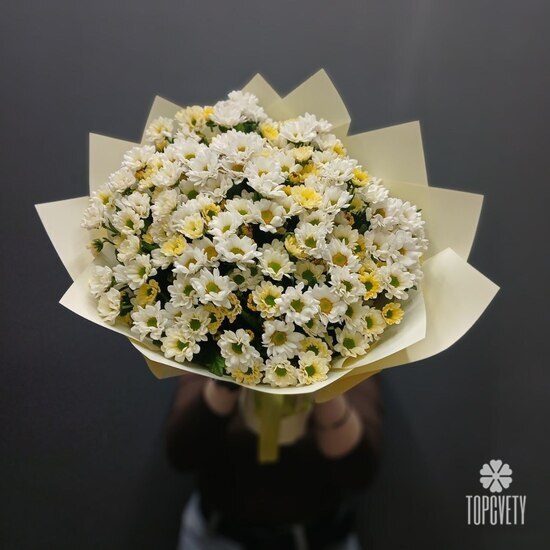 Букет из 21 кустовой хризантемы Сантинии