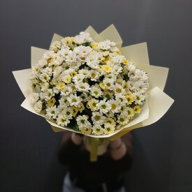 Букет из 21 кустовой хризантемы Сантинии