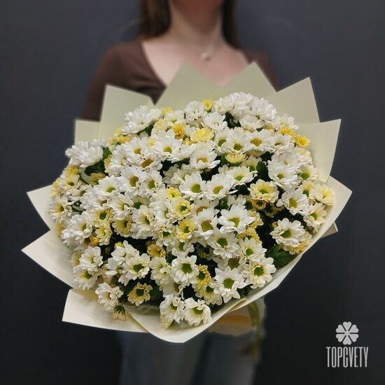 Букет из 21 кустовой хризантемы Сантинии