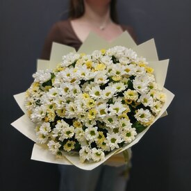 Букет из 21 кустовой хризантемы Сантинии
