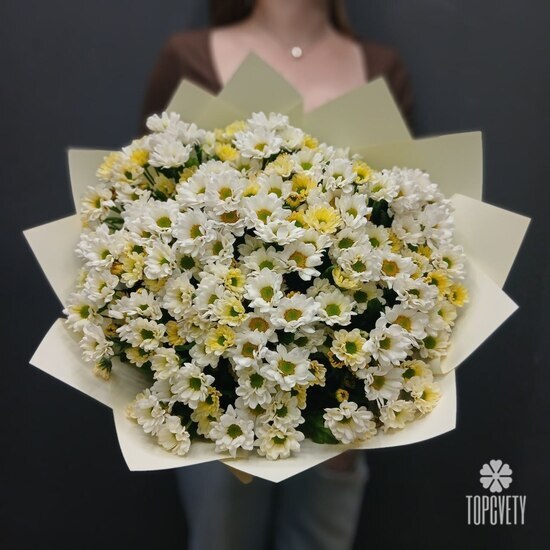 Букет из 21 кустовой хризантемы Сантинии