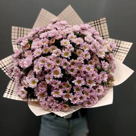 Букет из 21 кустовой хризантемы Сантинии