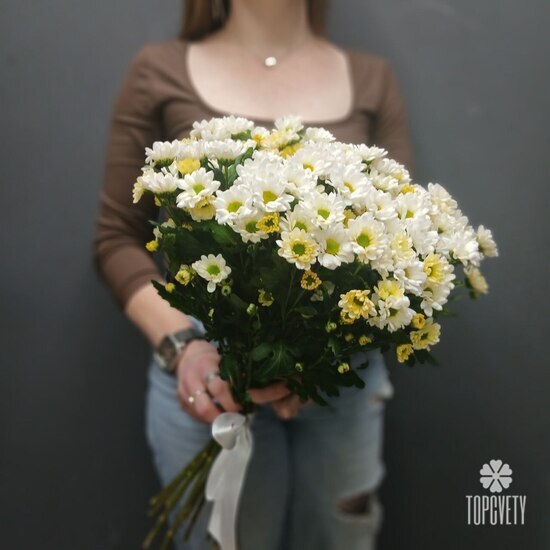 Букет из 15 кустовой хризантемы Сантинии