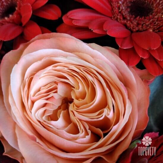 Букет из роз, гербер и альстромерий