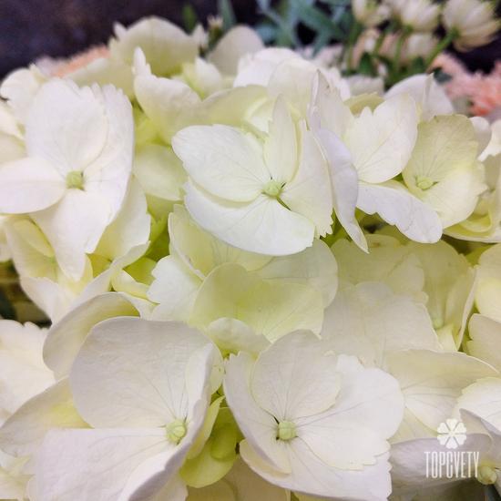 Букет из хризантем, роз и гортензий в корзине