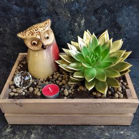 Композиция № 29