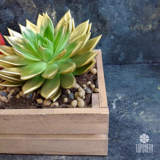 Композиция № 29