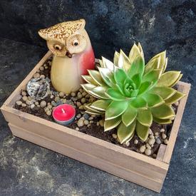 Композиция № 29